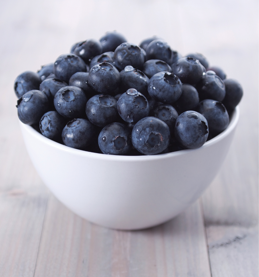 Blueberry Grunt Recipe