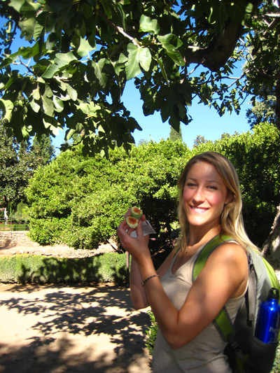 Myself picking figs from the trees at the Alhambra
