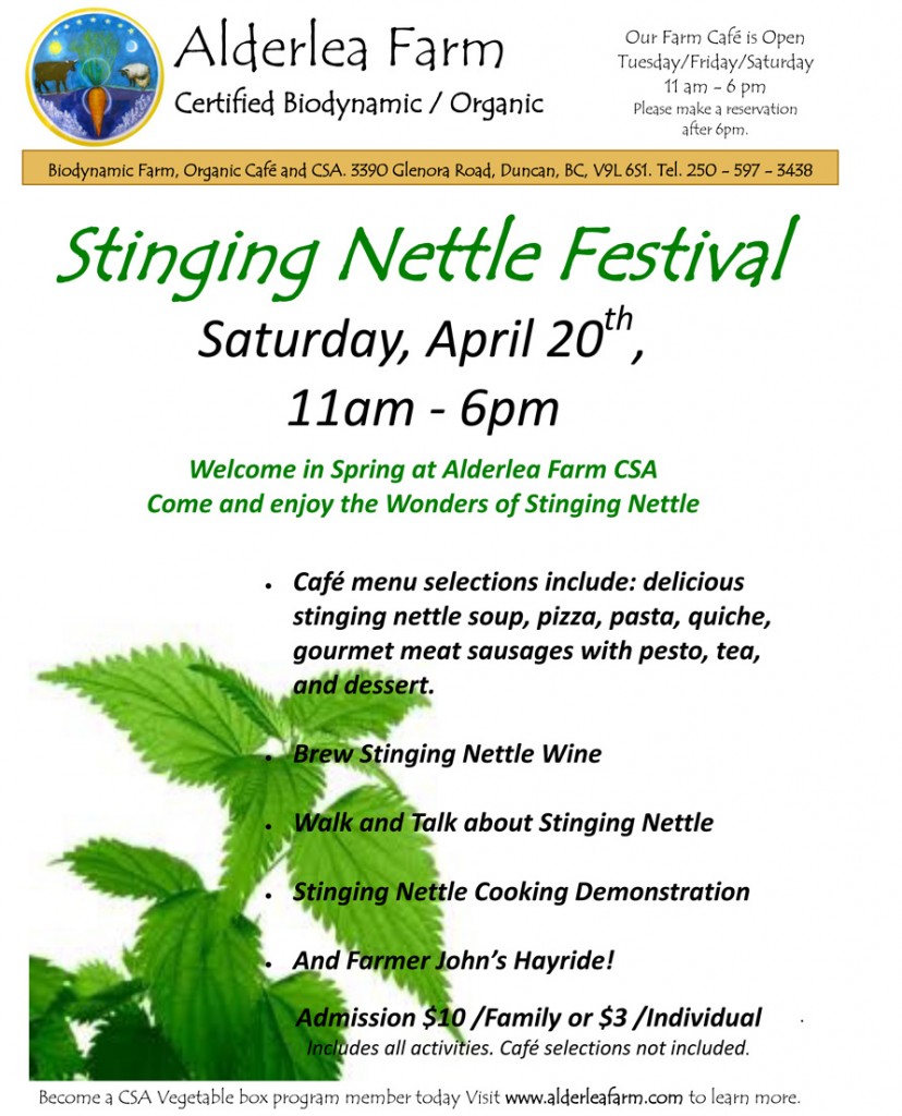 Alderlea Farm Stinging Nettle Poster 2013