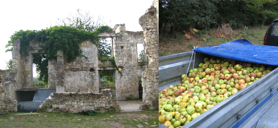 Left: Castle ruins on the farm. Right: On our way to make apple juice